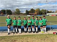 Boys Polding hockey teams