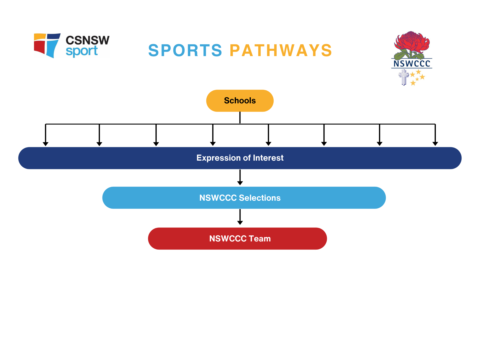 girls AFL, Baseball, Basketball, Bowls, Cricket, Diving, Golf, Hockey, Rugby, Softball, Tennis, Volleyball, Waterpolo