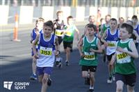 IMG_0062-watermarked