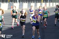 IMG_0272-watermarked