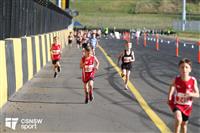 IMG_0286-watermarked