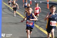 IMG_0322-watermarked