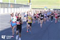 IMG_0459-watermarked