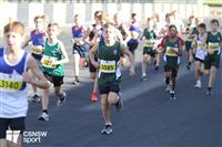 IMG_0419-watermarked