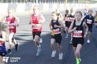 IMG_0486-watermarked
