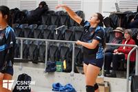 CSS06483-watermarked