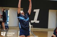 CSS06495-watermarked