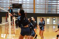 CSS06509-watermarked