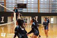 CSS06510-watermarked