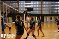 CSS06474-watermarked