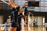 CSS06475-watermarked