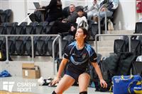 CSS06540-watermarked