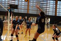 CSS06555-watermarked