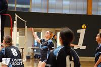 CSS06561-watermarked