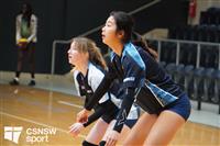 CSS06562-watermarked