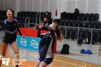 CSS06566-watermarked