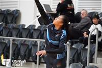 CSS06531-watermarked