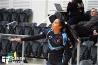 CSS06532-watermarked
