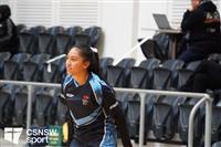 CSS06534-watermarked