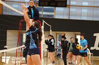 CSS06535-watermarked