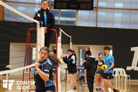 CSS06536-watermarked
