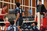 CSS06614-watermarked