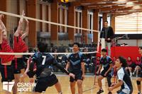 CSS06619-watermarked