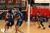 CSS06622-watermarked