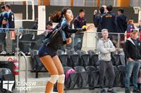 CSS06584-watermarked