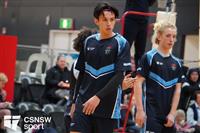 CSS06602-watermarked