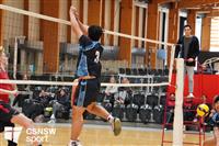 CSS06603-watermarked