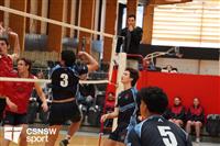 CSS06605-watermarked