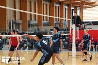 CSS06609-watermarked
