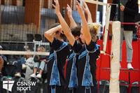 CSS06639-watermarked