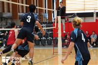 CSS06648-watermarked
