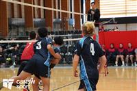CSS06649-watermarked