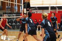 CSS06650-watermarked