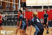 CSS06651-watermarked