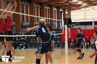 CSS06653-watermarked