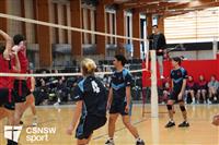 CSS06654-watermarked