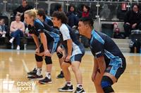 CSS06657-watermarked