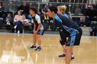 CSS06667-watermarked