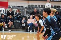 CSS06677-watermarked
