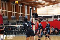 CSS06682-watermarked