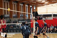 CSS06683-watermarked