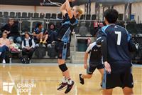 CSS06684-watermarked