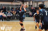 CSS06685-watermarked