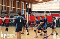 CSS06627-watermarked