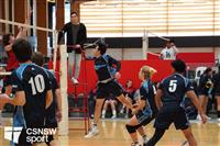 CSS06637-watermarked