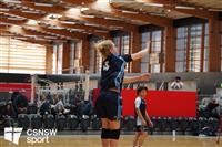 CSS06713-watermarked